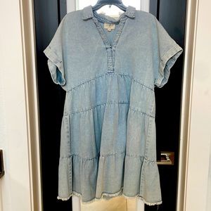 Umgee Denim dress
